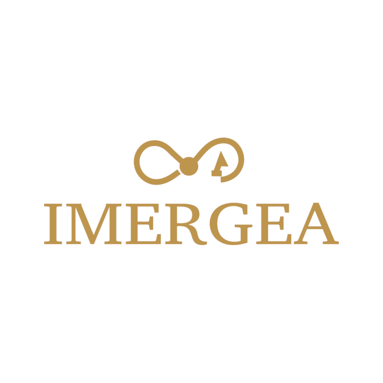 IMERGEA Export Sales Performance  Tool