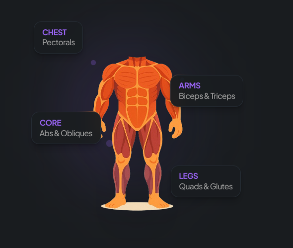 Workout Builder